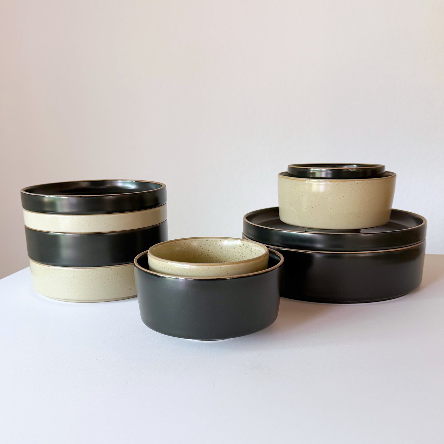 TWO WAY PORCELAIN 10PC SET